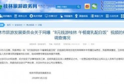 南京导游爆料新闻视频,揭秘古都背后的故事与真相