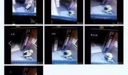 视频中如何爆料别人