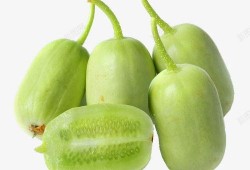 小香瓜视频爆料网站,揭秘娱乐圈幕后真相