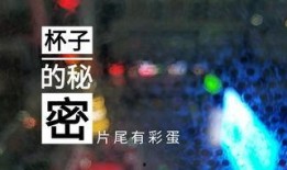 夜间酒店爆料视频,揭秘幕后爆料视频背后的真相