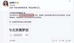 张颖颖给媒体爆料视频,独家爆料视频背后的惊人真相