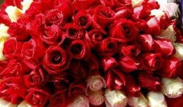 重庆玫瑰花爆料案件最新,揭秘背后惊人真相