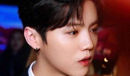 鹿晗是娱乐圈爆料