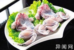 厨师爆料牛蛙视频大全,厨师亲曝牛蛙烹饪全过程视频大全