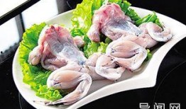 厨师爆料牛蛙视频大全,厨师亲曝牛蛙烹饪全过程视频大全