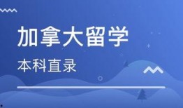 加拿大中介爆料事件视频,揭露行业黑幕与真相