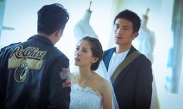 棋逢对手电视剧在线观看,巅峰对决，智慧与情感的交织