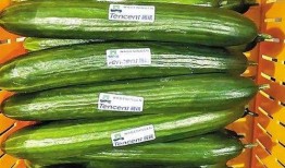 小瓜最新爆料是真的吗,真相揭秘，最新爆料是否属实？
