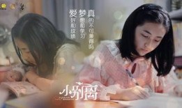 黄磊海清谈恋爱爆料视频,幕后故事大揭秘