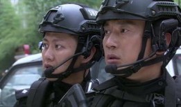 黑狐突击队电视剧全集在线观看,揭秘神秘特工队的传奇故事