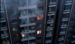 邓州都市爆料事件视频,视频揭露惊人真相，引发社会关注