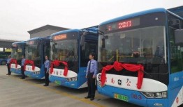 渭南公交车爆料视频大全,揭秘城市交通那些事儿