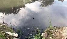 最新的风景爆料,最新风景爆料，带你领略绝美风光