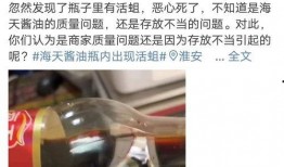 爆料海天视频,独家爆料背后的真相与内幕