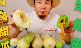 网红吃瓜评论怎么写的,揭秘娱乐圈幕后真相