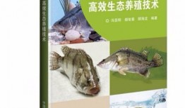 鳜鱼养殖爆料视频大全最新,最新爆料视频大全深度解析