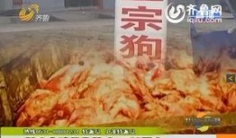 爆料香肠加工视频播放,视频曝光惊人真相