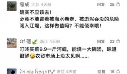 诈骗最新爆料新闻视频下载,视频爆料揭露惊心案例