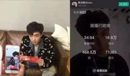 清明爆料直播视频,带你直击现场，感受清明节的独特魅力