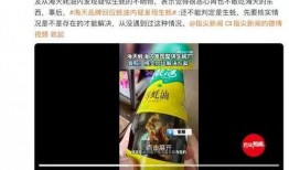 爆料海天视频,独家爆料背后的真相与内幕