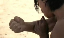 力王完整版在线观看,巅峰对决，在线观看，热血沸腾的武术传奇