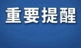 锦州今日爆料新闻视频,惊曝重大事件，视频揭秘真相！