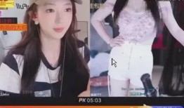 原神爆料女主角是谁呀视频,神秘角色引玩家热议