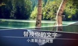 风景视频爆料大全最新版,风景视频爆料大全最新版全景呈现