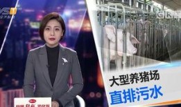 今日一线爆料官网,热点事件幕后真相