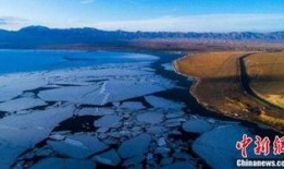 蓝冰最新爆料,揭秘娱乐圈惊天秘密