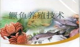 鳜鱼养殖爆料视频大全最新,最新爆料视频大全深度解析