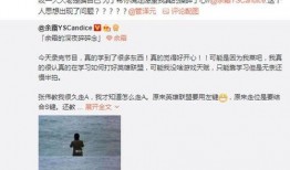 王暖暖最新爆料微博是真的吗,王暖暖最新爆料微博真实性揭秘