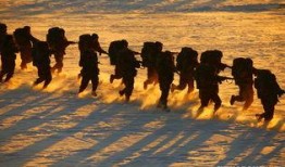 雪地娘孑军在线观看,在线重温冰雪战场的英勇传奇