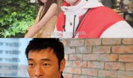 娱乐圈吃瓜大事件,揭秘年度吃瓜大事件