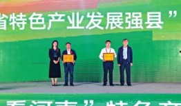 临颍新闻爆料事件最新,真相揭开，舆论漩涡中的正义较量