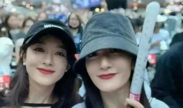 假发演唱会是谁爆料的视频,视频曝光背后的真相