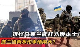 波兰实锤爆料事件视频,揭秘真相背后的惊人内幕
