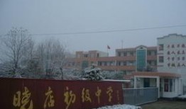 宿迁晓店最新爆料,揭秘神秘事件背后的真相