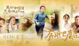 麋鹿电影在线观看,在线观看，探寻自然之美