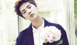 鹿晗是娱乐圈爆料