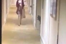 网友爆料朝阳酒店视频大全