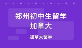 加拿大中介爆料事件视频,揭露行业黑幕与真相