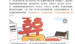 高价彩礼爆料案例视频大全,视频大全背后的婚嫁困境