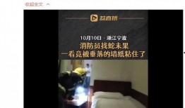 宁波足浴事件爆料新闻报道,揭秘背后惊人真相