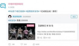 广州舞蹈圈爆料事件视频,揭秘背后真相与争议