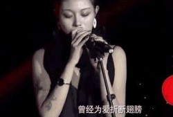 汪峰妻子爆料视频,视频曝光夫妻关系真相