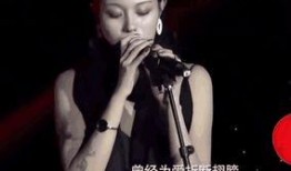 汪峰妻子爆料视频,视频曝光夫妻关系真相