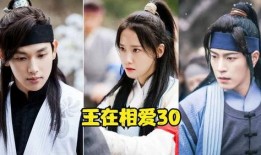 王在相爱全集在线观看,浪漫爱情剧精彩回顾