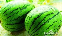 瓜多多免费吃瓜,畅享夏日清凉盛宴