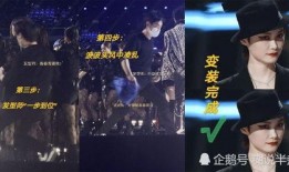 假发演唱会是谁爆料的视频,视频曝光背后的真相